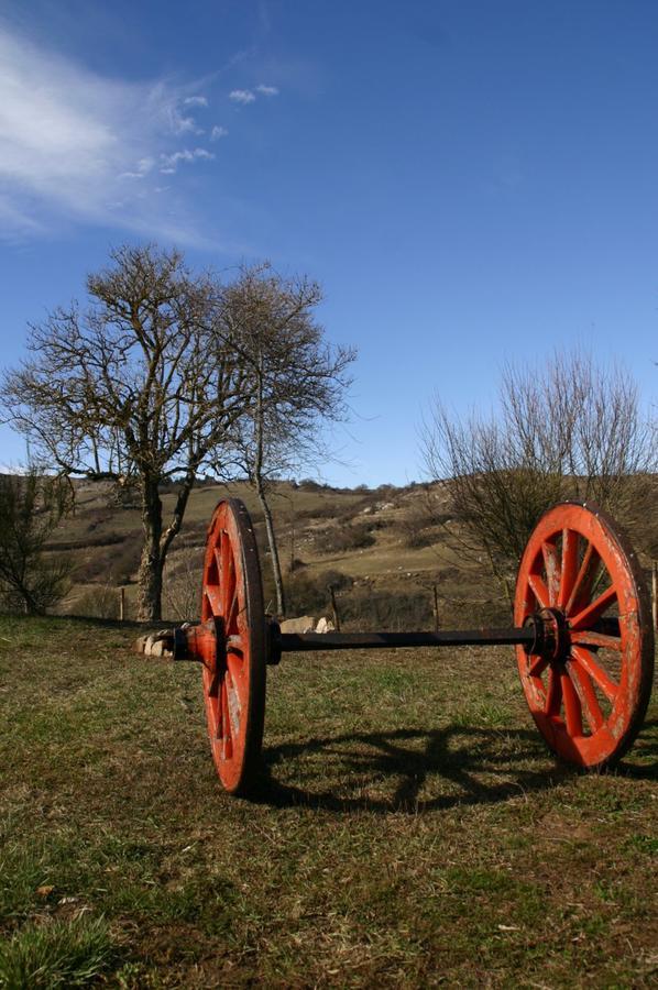 Agriturismo La Guinza Арчидоссо Экстерьер фото