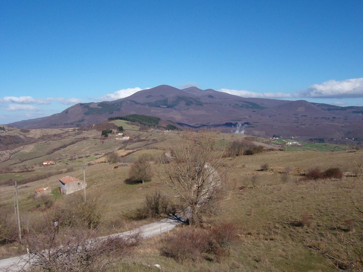 Agriturismo La Guinza Арчидоссо Экстерьер фото