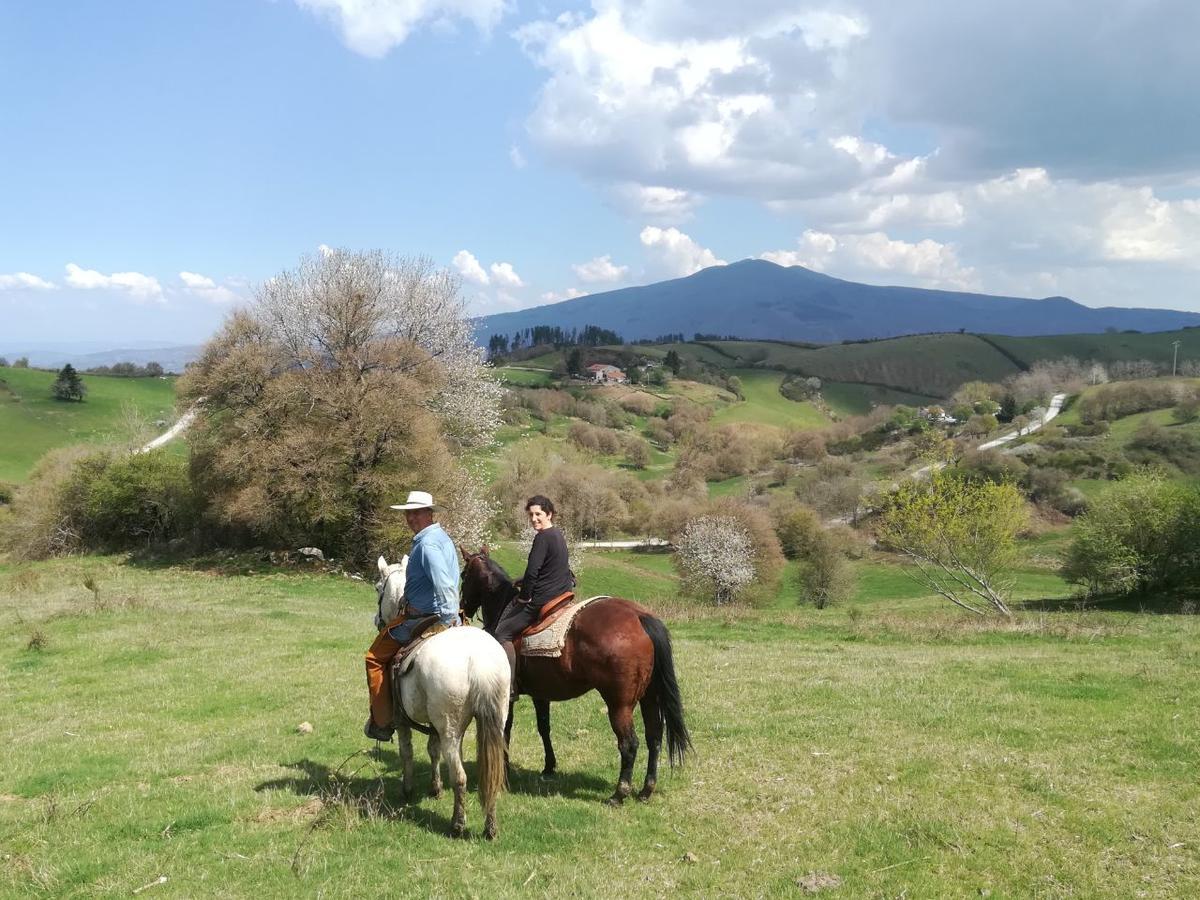 Agriturismo La Guinza Арчидоссо Экстерьер фото