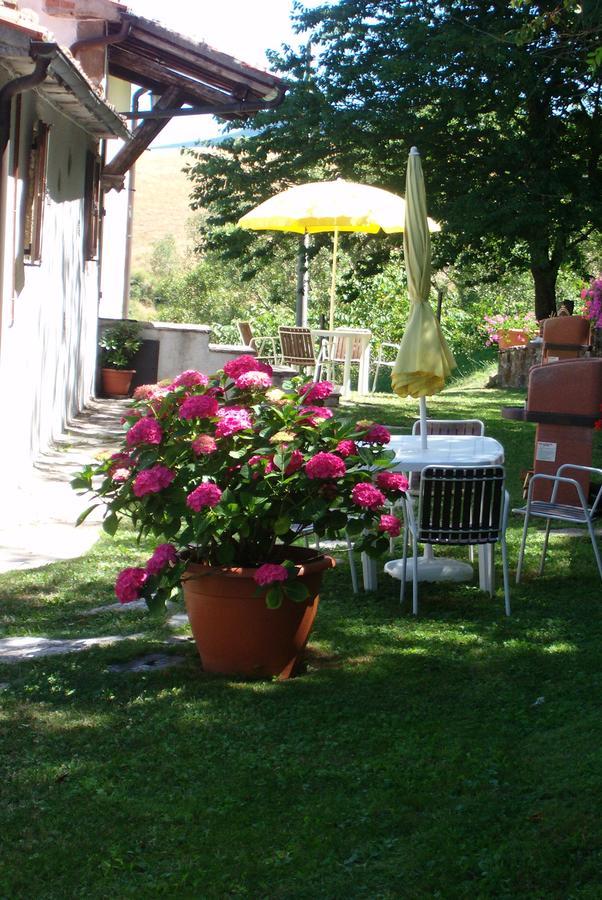Agriturismo La Guinza Арчидоссо Экстерьер фото