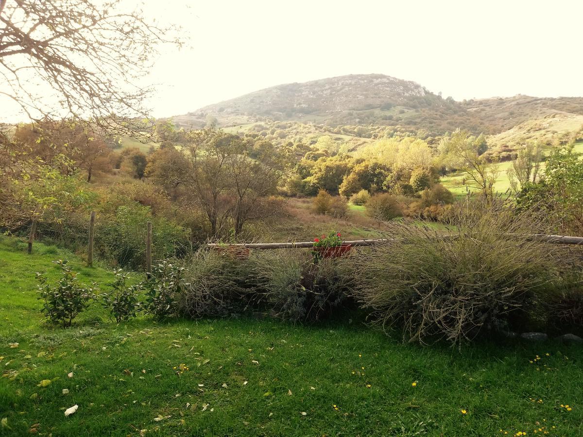 Agriturismo La Guinza Арчидоссо Экстерьер фото