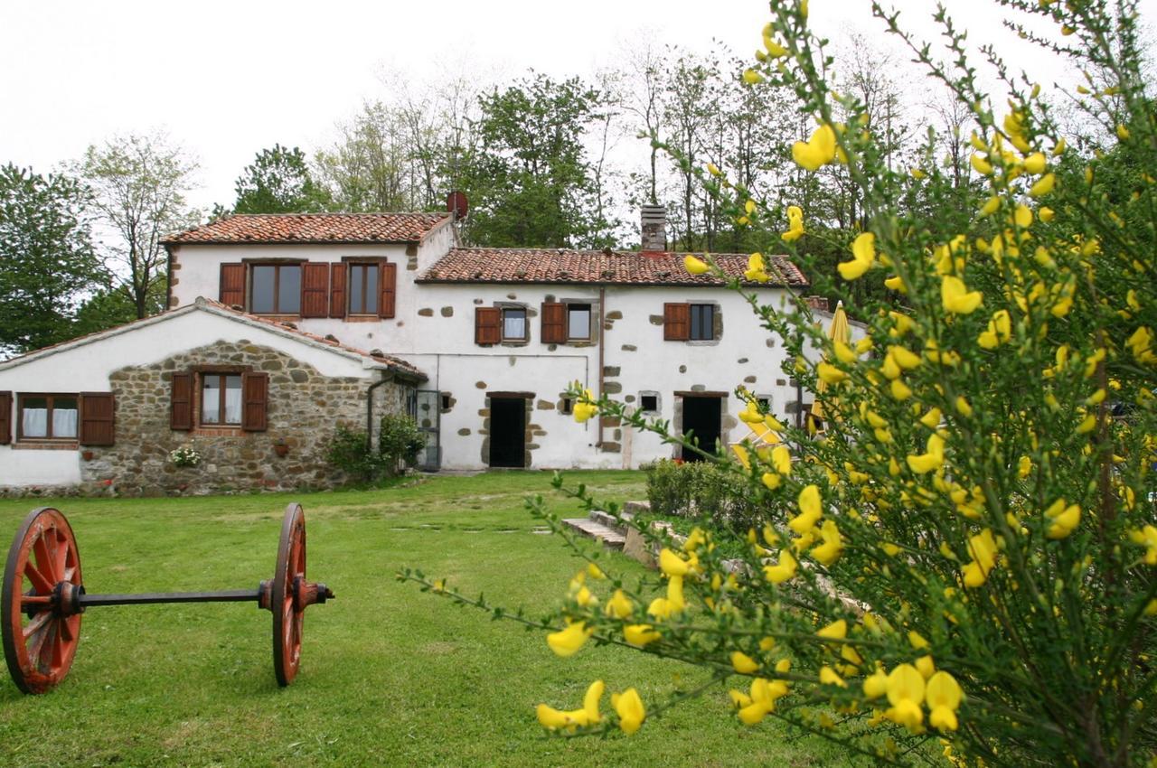 Agriturismo La Guinza Арчидоссо Экстерьер фото