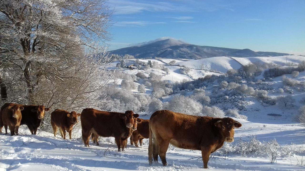 Agriturismo La Guinza Арчидоссо Экстерьер фото